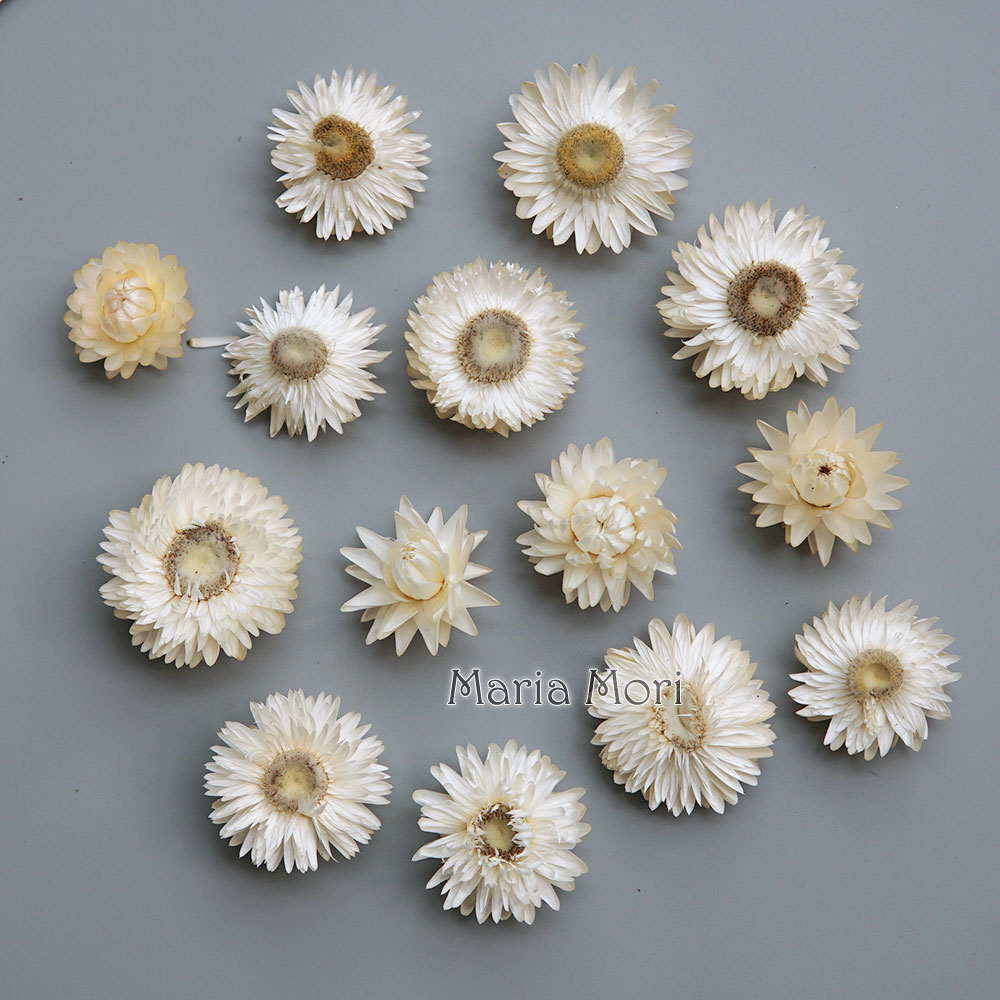 เครื่องประดับผมแฮนด์เมดทำจากพว - Candle Making At Home บทวิจารณ์และราคา