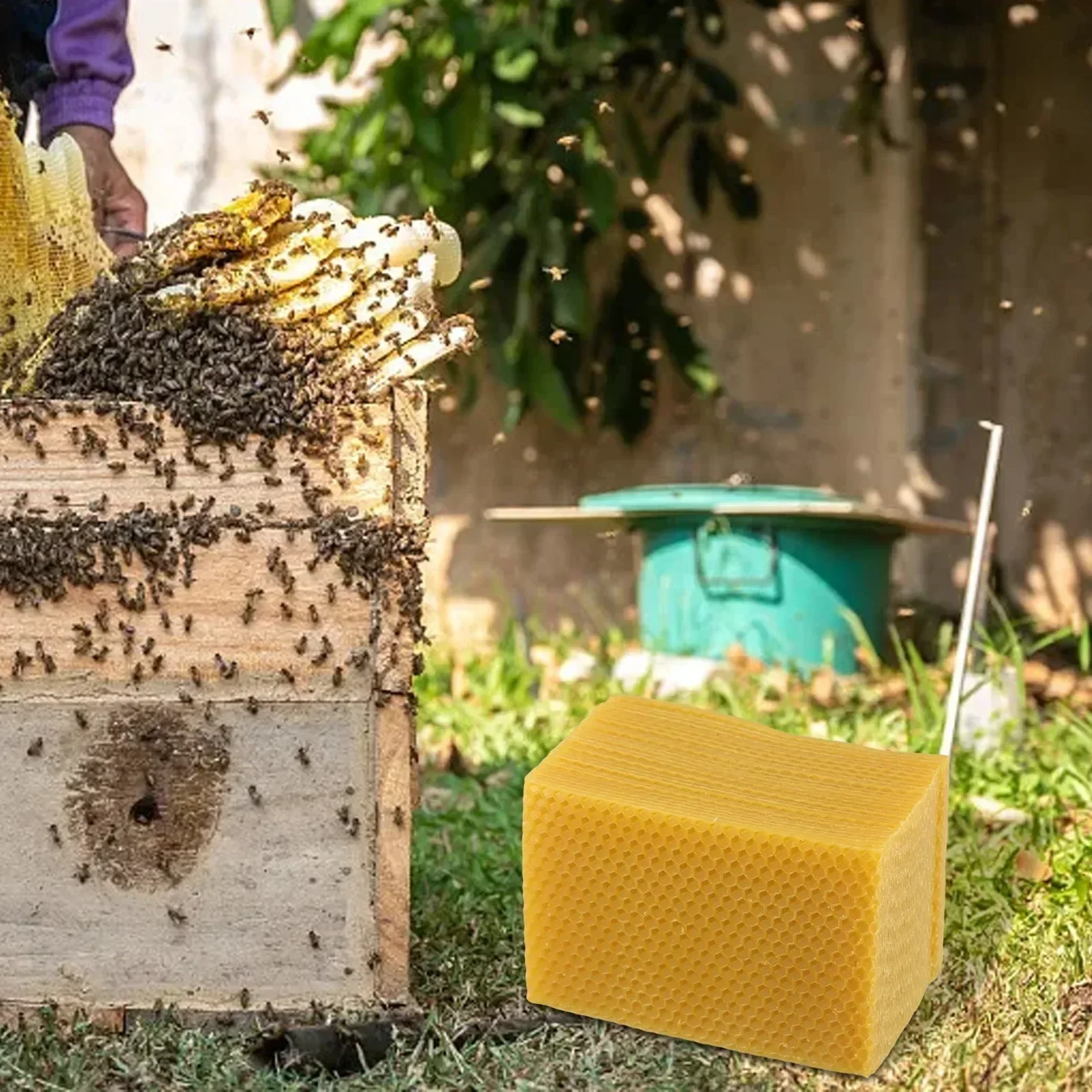 Beehive อุปกรณ์ Beehive Founda - Candle Making Kit Beeswax บทวิจารณ์และราคา