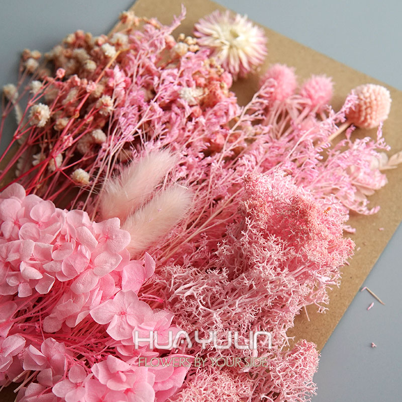 1 แพ็คพืชประดิษฐ์แห้งดอกไม้จริ - Candle Making At Home บทวิจารณ์และราคา