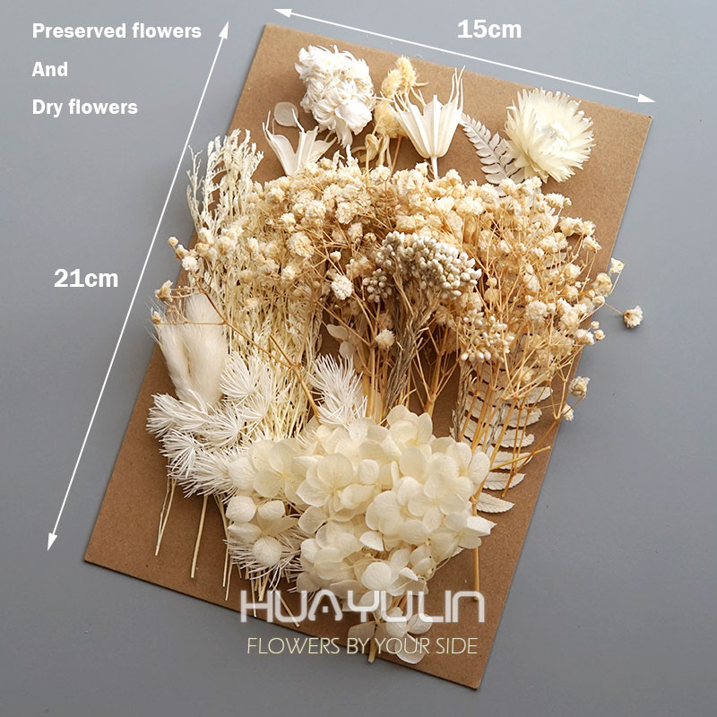 1 แพ็คพืชประดิษฐ์แห้งดอกไม้จริ - Candle Making At Home บทวิจารณ์และราคา